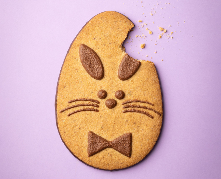 Easter Bunny, chocolate & hazelnut butter biscuit | Maison Alsacienne de Biscuiterie