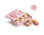 Macarons fins - Coffret Initiation de Printemps 11 pièces
