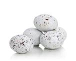 Oeufs de cigogne