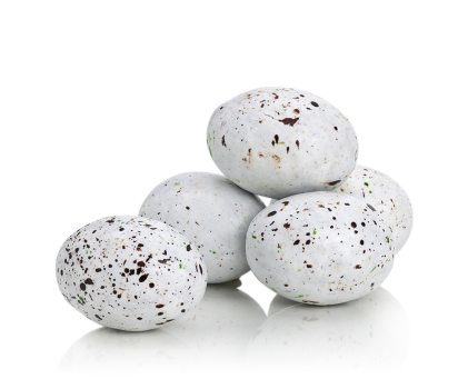 Mini-Kougelhopfs pralinés