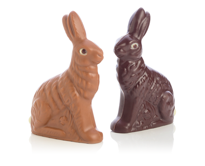 Duo de petits lièvres