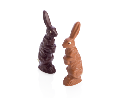 Duo de petits Lièvres debout