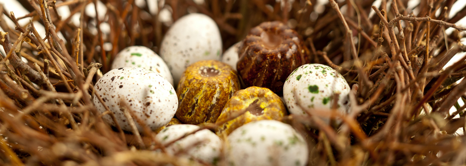 Chocolats et Confiseries